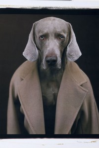 15 william-wegman-2001-max-mara-mantel-101801_article_gallery_portrait