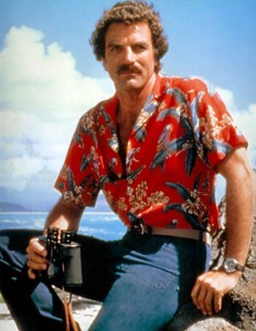 9 magnum-pi-selleck