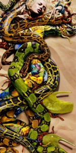 26 snake-fashion-photography